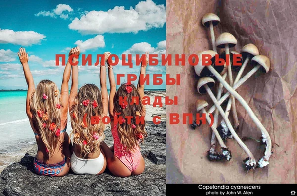 кокаин перу Алексеевка